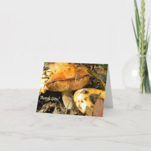 Wild Mushrooms Note Card