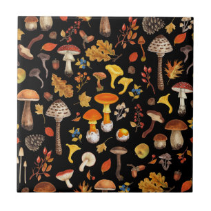 Wild mushrooms on black tile