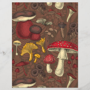 Wild mushrooms on brown