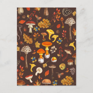 Wild mushrooms on brown postcard