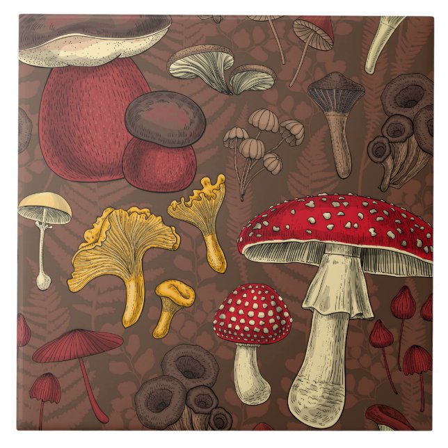 Wild mushrooms on brown tile (Front)