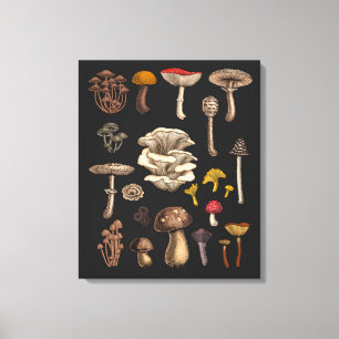 Wild Mushrooms on graphite black Canvas Print