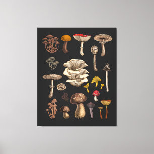 Wild Mushrooms on graphite black Canvas Print