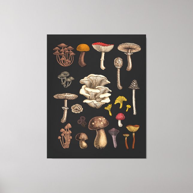 Wild Mushrooms  on graphite black Canvas Print (Front)