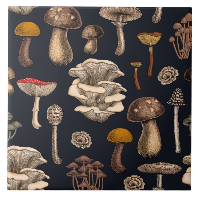 Wild Mushrooms  on graphite black Tile (Front)