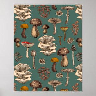 Wild Mushrooms  on pine green Poster