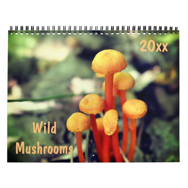 Wild Mushrooms Photography  Calendar (Cover)
