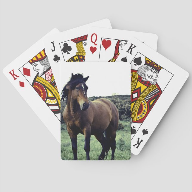 Wild Mustang Deck of Cards (Back)