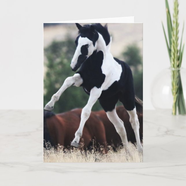 Wild Mustang Filly "Hopi" Carte de voeux (Devant)