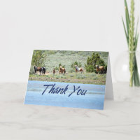 Wild Mustang Herd Photo Thank You Card