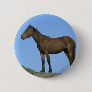 Wild Mustang Horse 2 Inch Round Button