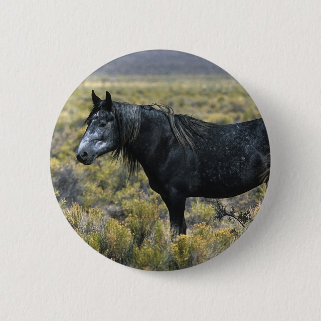 Wild Mustang Horse in the Desert 2 Inch Round Button (Front)