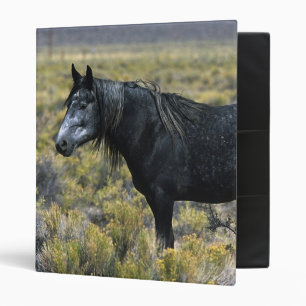 Wild Mustang Horse in the Desert Binder