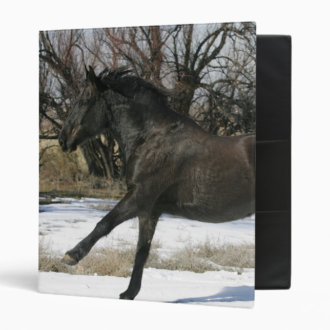 Wild Mustang Horse in the Snow 2 Binder (Front/Inside)