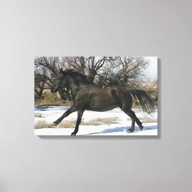 Wild Mustang Horse in the Snow 2 Canvas Print (Front)