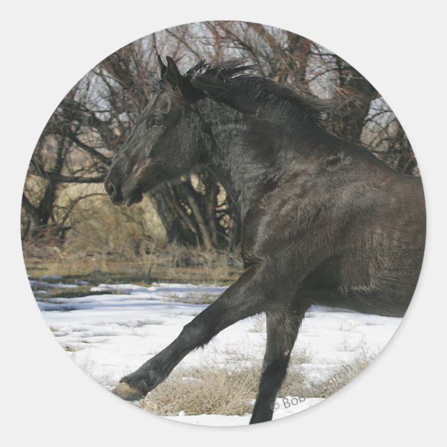 Wild Mustang Horse in the Snow 2 Classic Round Sticker (Front)