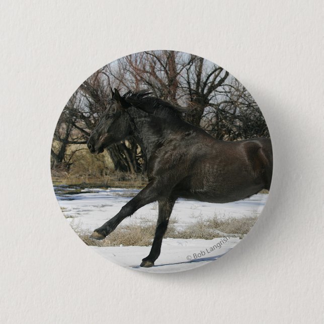 Wild Mustang Horse in the Snow 2 Inch Round Button (Front)