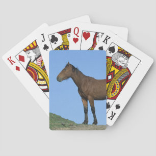 Wild Mustang Horse Playing Cards