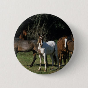 Wild Mustang Horses 1 2 Inch Round Button