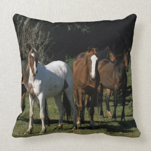 Wild Mustang Horses 1 Throw Pillow