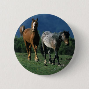 Wild Mustang Horses 2 Inch Round Button
