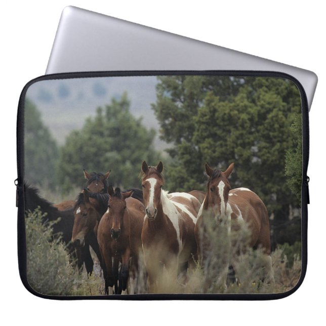 Wild Mustang Horses 2 Laptop Sleeve (Front)