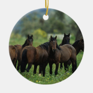 Wild Mustang Horses 3 Ceramic Ornament