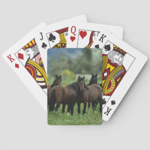 Wild Mustang Horses 3 Playing Cards