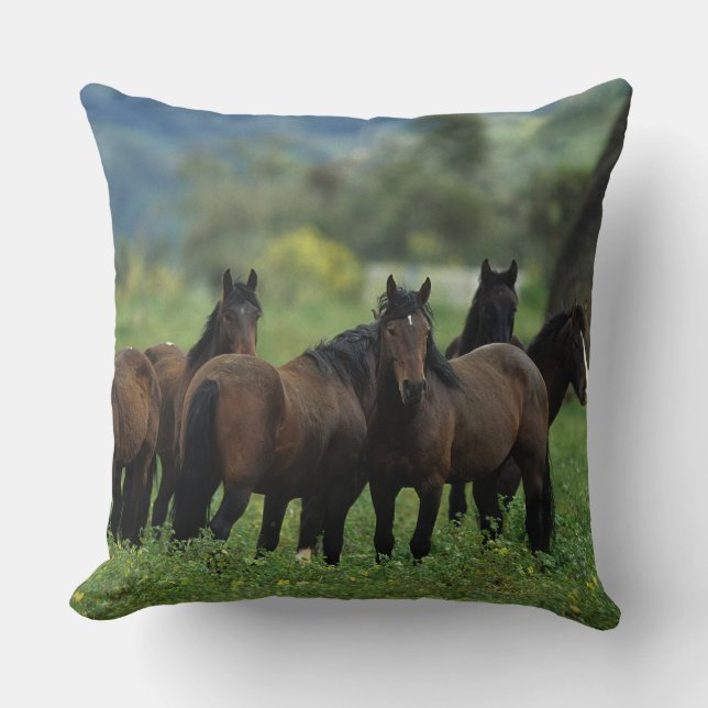 Wild Mustang Horses 3 Throw Pillow (Front)