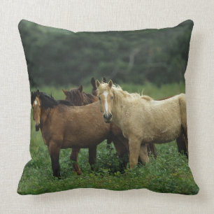 Wild Mustang Horses 4 Throw Pillow