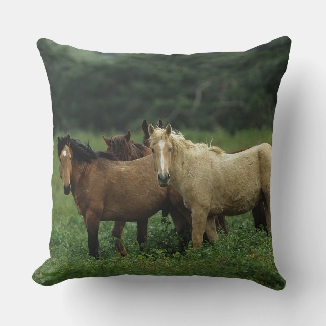 Wild Mustang Horses 4 Throw Pillow (Front)