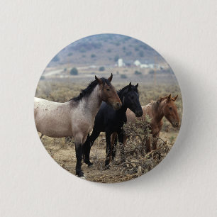 Wild Mustang Horses 5 2 Inch Round Button