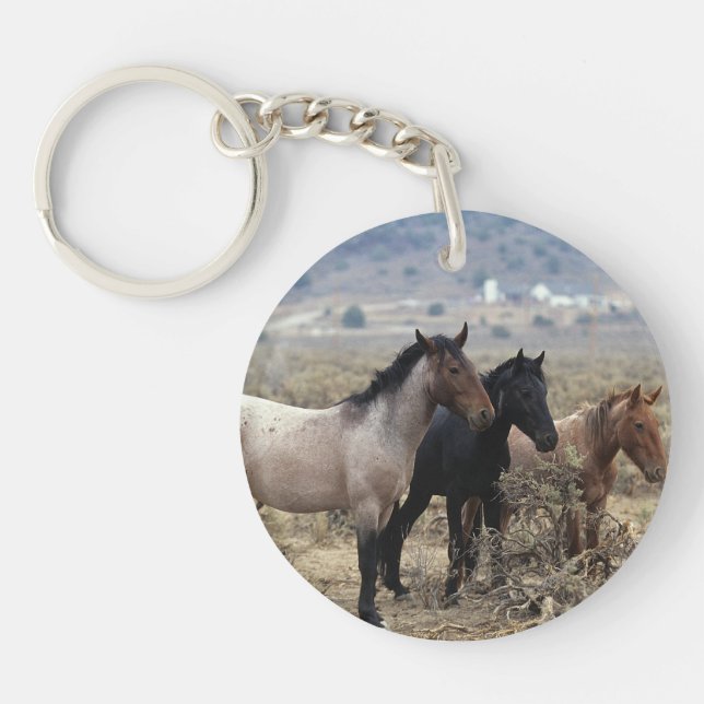 Wild Mustang Horses 5 Keychain (Front)