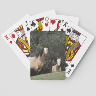Wild Mustang Horses 6 Playing Cards