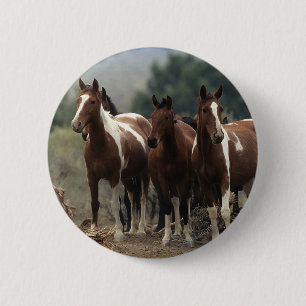 Wild Mustang Horses 7 2 Inch Round Button