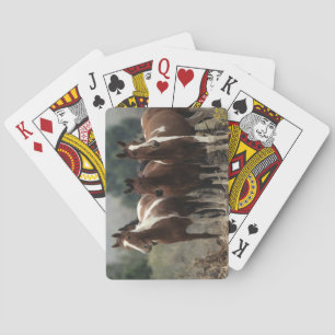 Wild Mustang Horses 7 Playing Cards