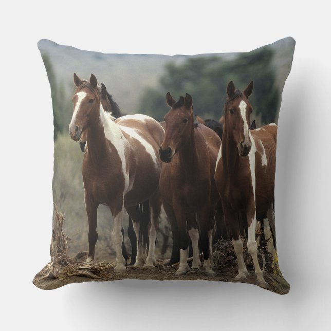 Wild Mustang Horses 7 Throw Pillow (Front)