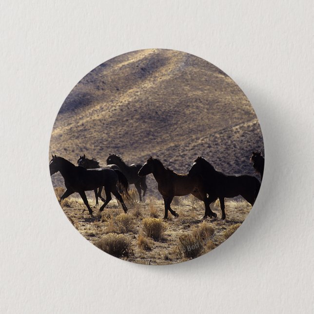 Wild Mustang Horses in the Desert 1 2 Inch Round Button (Front)