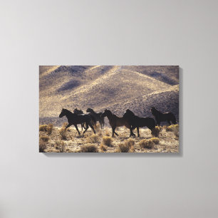 Wild Mustang Horses in the Desert 1 Canvas Print