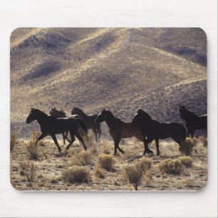 Wild Mustang Horses in the Desert 1 Mouse Pad