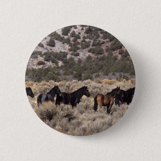 Wild Mustang Horses in the Desert 2 2 Inch Round Button (Front)