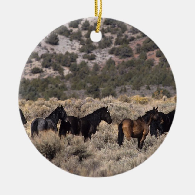 Wild Mustang Horses in the Desert 2 Ceramic Ornament (Front)