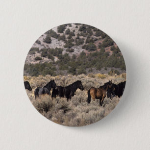 Wild Mustang Horses in the Desert 2 Inch Round Button