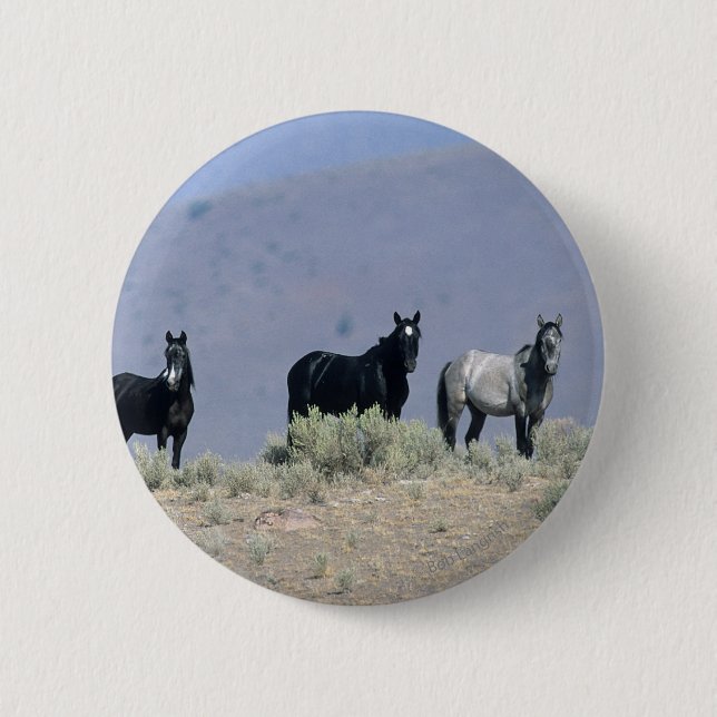 Wild Mustang Horses in the Desert 3 2 Inch Round Button (Front)