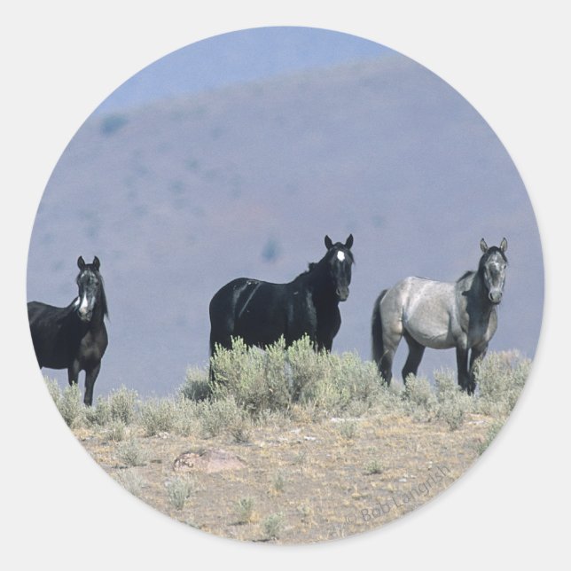 Wild Mustang Horses in the Desert 3 Classic Round Sticker (Front)