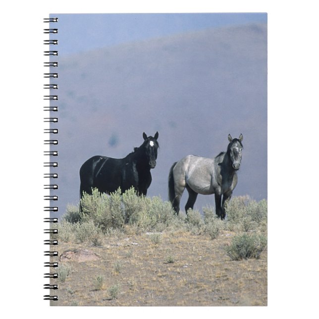 Wild Mustang Horses in the Desert 3 Notebook (Front)