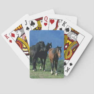 Wild Mustang Horses in the Mountains Playing Cards