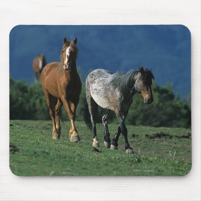 Wild Mustang Horses Mouse Pad (Front)