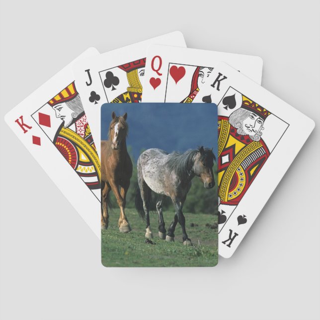 Wild Mustang Horses Playing Cards (Back)