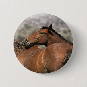 Wild Mustang Horses Touching 2 Inch Round Button